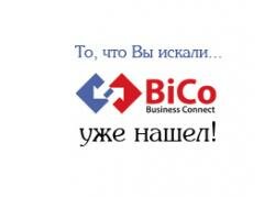 Bicotender.ru -    